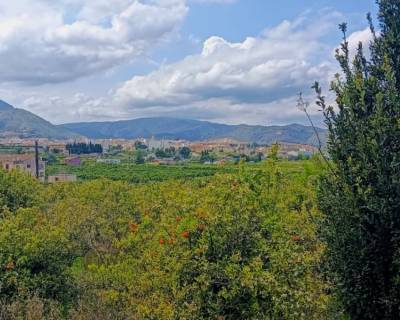 Plot - Sales - Pego - 75-84687