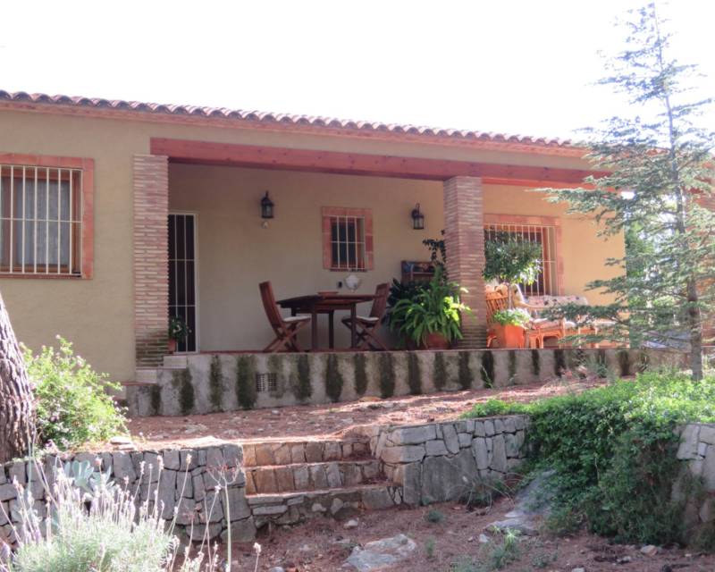 Finca - Sales - Jalon Valley - Benigembla