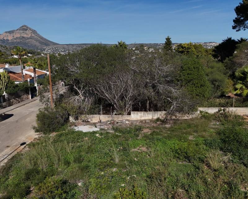 Parcela - Venta - Javea - Javea