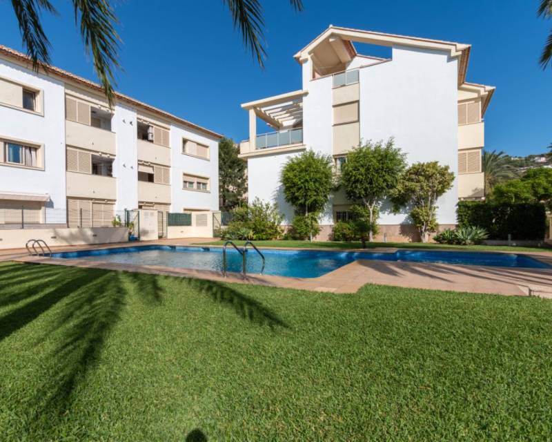 Appartement - Locations longue durée - Javea - Puerto